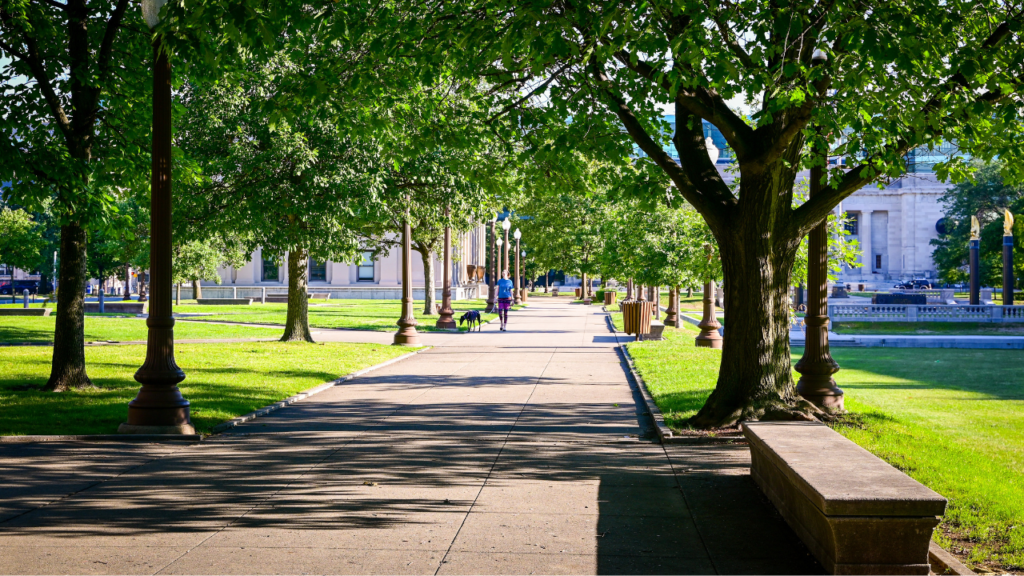Central park